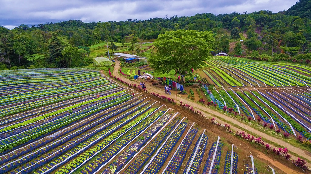 agri tourism bukidnon