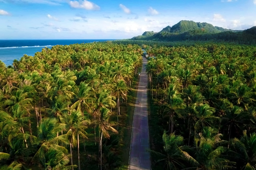 Coconut Mountain View. Tourist Spots in Mindanao