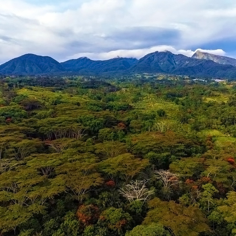 Mount Dulang-dulang. Best Tourist Spots in Bukidnon