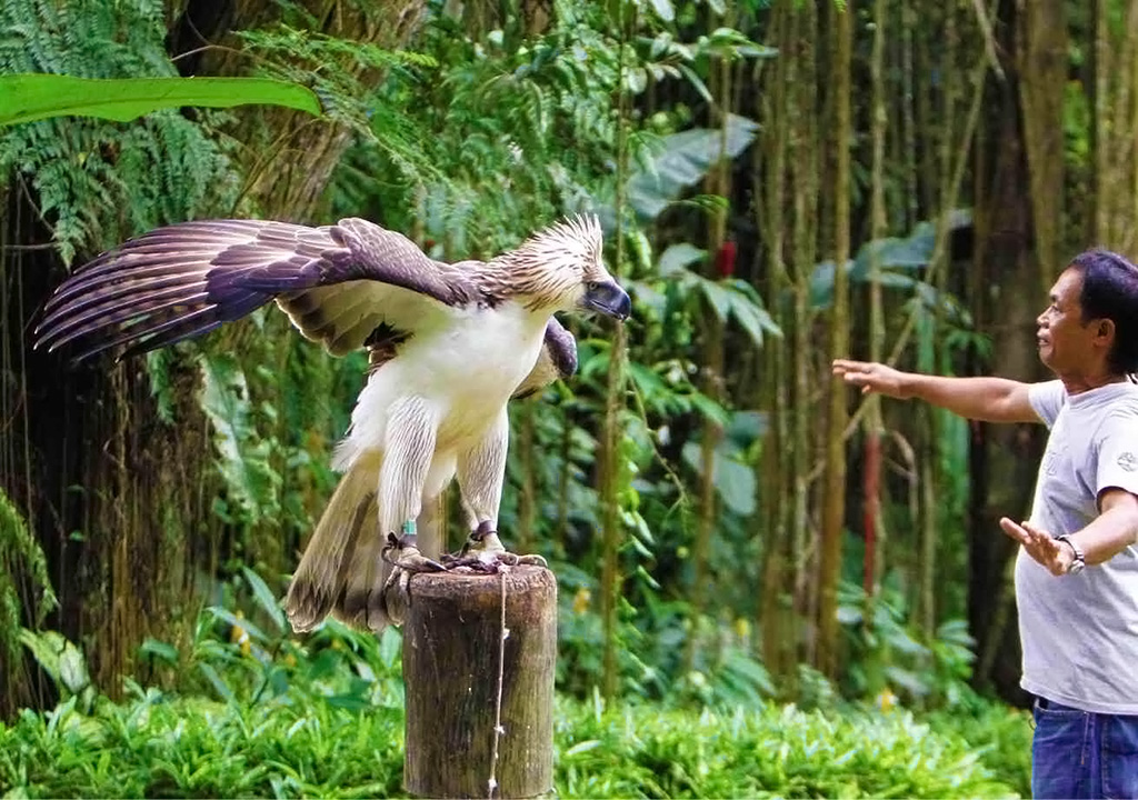 Philippine Eagle Center. Tourist Spots in Mindanao