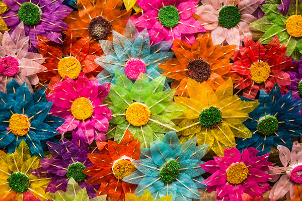 Colorful Flowers Symbol of Pahiyas Festival