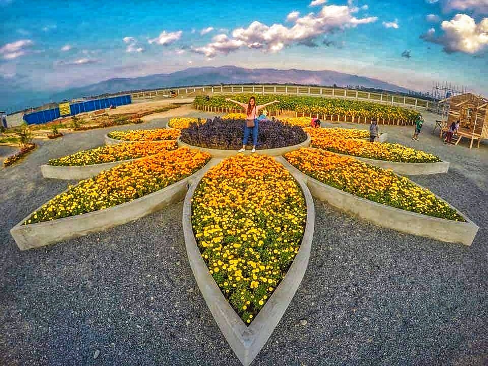 Tayug Sunflower Eco Park. Pangasinan Tourist Spot