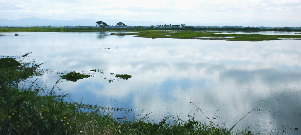 11 Best Tourist Spots in Pampanga - Candaba Swamp
