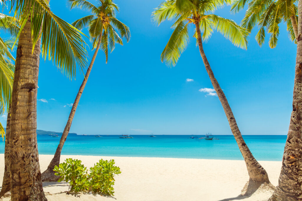 Beautiful landscape of tropical beach on Boracay island, Philippines. Coconut palm trees, sea, sailboat and white sand. 