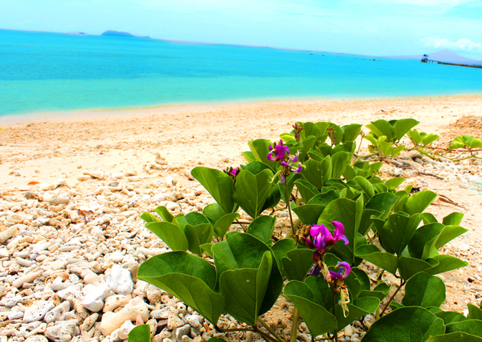 Calugusan Beach