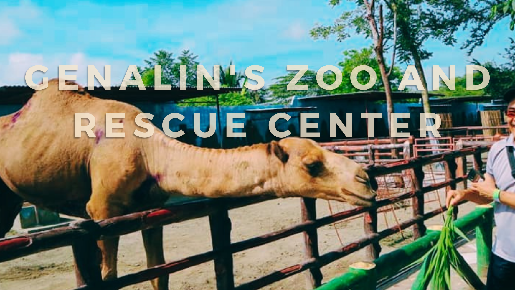 Tourist Spots in Mindanao│Genalin's Zoo and Rescue Center│Tacurong City, Sultan Kudarat