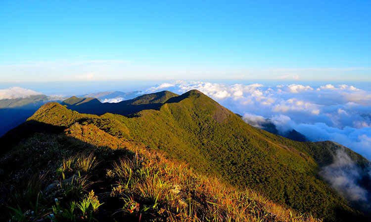 Mount Halcon - Mindoro