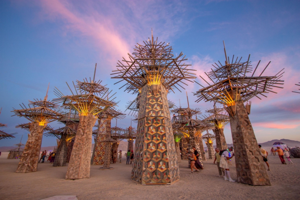 Art Installation - Burning Man Festival