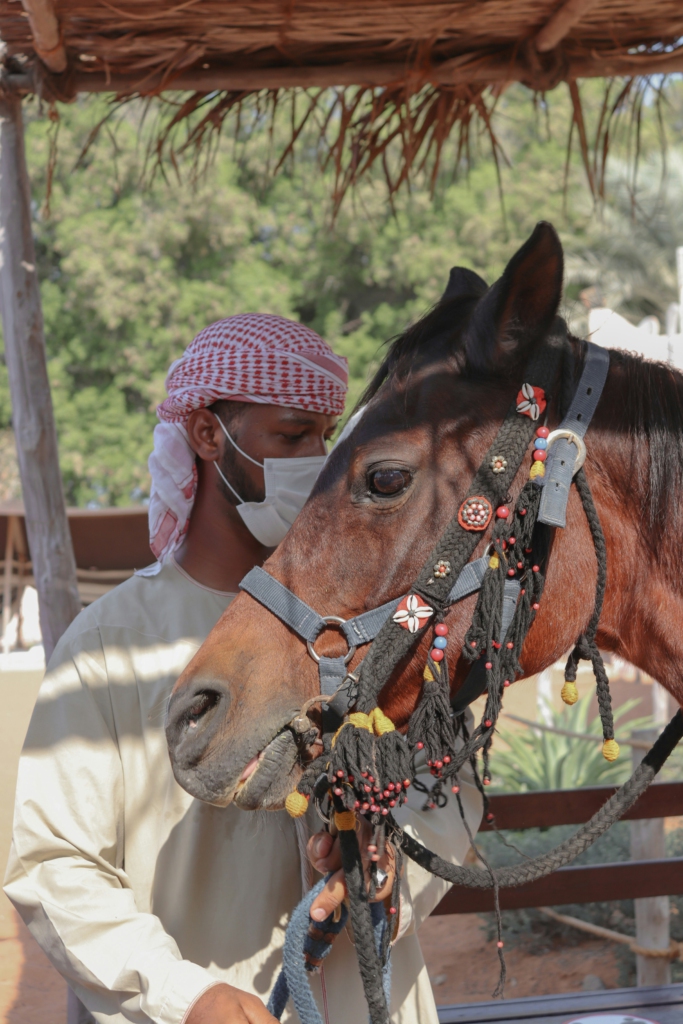 Abu Dhabi Tourist Attraction -Heritage Village Horse