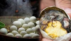 Balut - street food