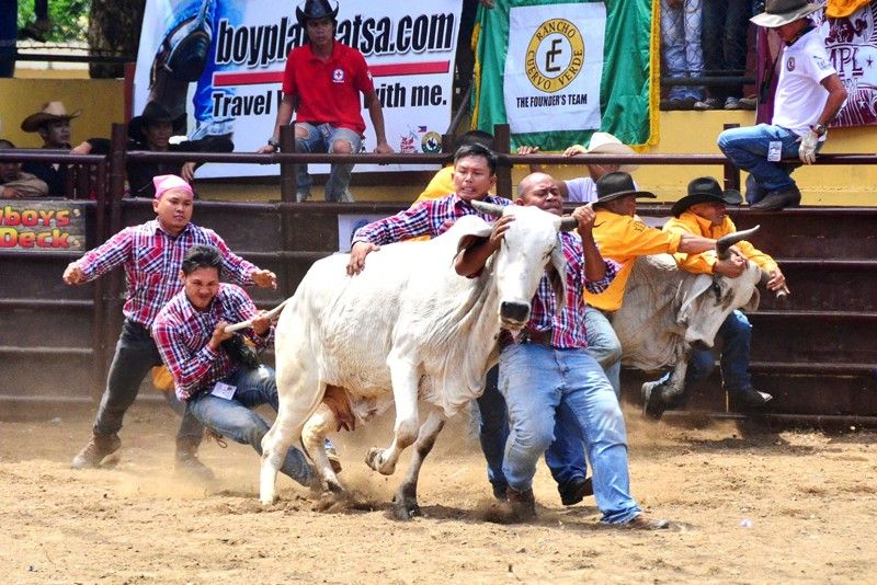 Rodeo Masbateño - Festival